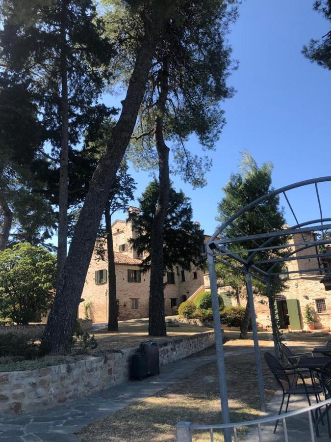 Oliva * Pesaro