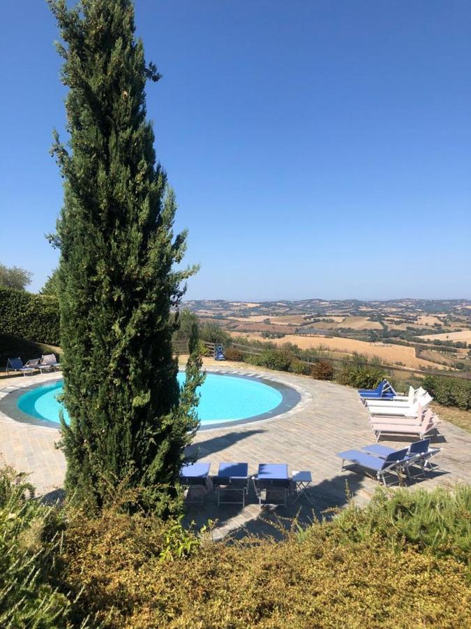 Oliva Pesaro