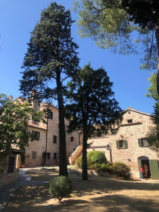 Apartment Oliva *
