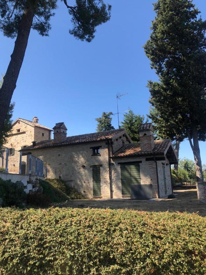 Oliva * Pesaro