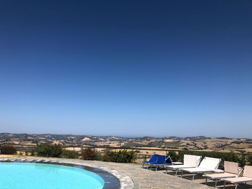 Oliva * Pesaro