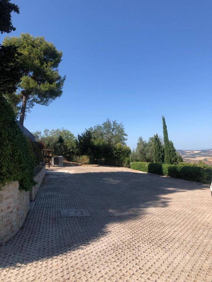 Oliva * Pesaro