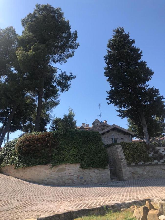 Oliva Pesaro